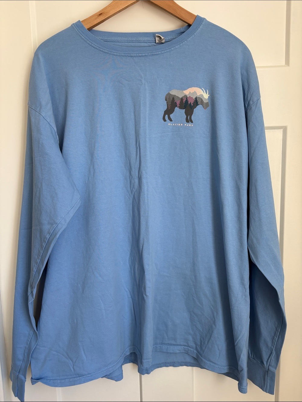 Glacier park Graphic Tee with Bison